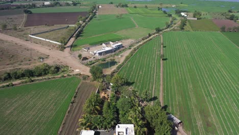 Aerial-drone-view-heading-towards-the-house-with-huge-fields-around