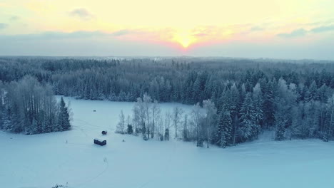 Winter-wonderful-landscape-frozen-tree-forest-and-white-ground,-aerial-rural-at-sunset-golden-hour