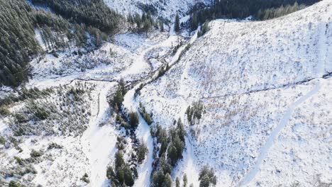 Camino-Nevado-En-El-Valle-Del-Bosque-De-Montaña-En-Un-Día-Soleado-De-Invierno