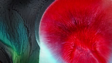 Leuchtende-Rote-Und-Türkisfarbene-Tintenkollision-Im-Wasser-Mit-Dendritischen-Mustern,-Die-An-Organisches-Gewebe-Erinnern