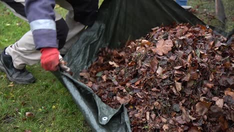 a-handheld-view-of-a-people-raking-leaves-in-the-yard