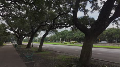 Caminando-Por-La-Acera-Con-árboles-Hacia-El-Parque-Hermann-En-Houston