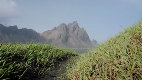 Stunning-Icelandic-coastal-Mount-Vestrahorn-framed-by-windswept-grass,-a-serene-blend-of-rugged-beauty-and-tranquility