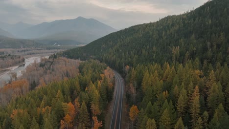 Mountainside-Road-Passing-By-Autumn-Conifer-Trees-During-Misty-Morning