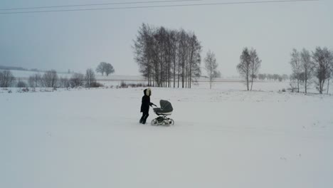 Single-mother-push-baby-stroller-on-snowy-road,-scenic-winter-landscape