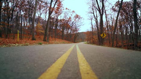 Road-with-fall-leaves-tree-point-of-view-on-cloudy-day-low-angle-shot-slow