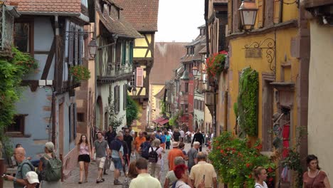 A-very-special-combination-of-history,-culture,-scenery,-and-especially-food-and-wine-makes-Riquewihr-one-of-the-most-delightful-places-to-visit-in-all-of-Europe