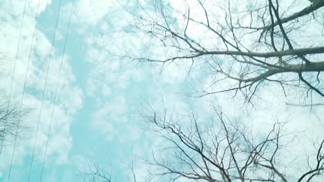 Pasando-Por-Un-árbol-Marchito-Con-Cielo-Azul-Mirando-Hacia-Arriba-Desde-Abajo-En-El-Frío-Mediodía-De-Otoño-Lento