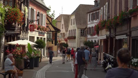 Ideally-located-in-the-center-of-Alsace,-the-Ribeauvillé-invites-to-discover-the-wealth-of-its-heritage