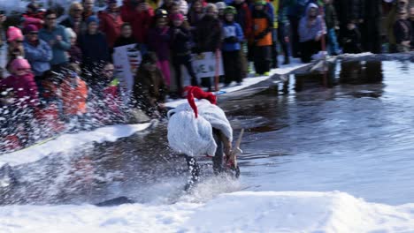 Community-event-for-winter,-downhill-fun---slidding-down-a-snowhill-and-into-a-pool-of-frigid-water-with-a-big-splash