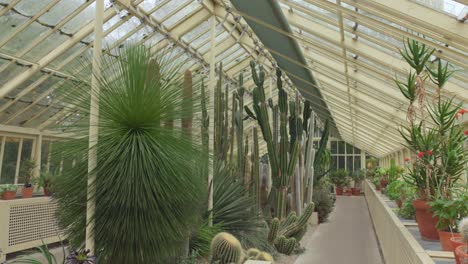 Tiro-Inclinado-De-La-Casa-De-Cactus-En-Los-Jardines-Botánicos-Nacionales-De-Irlanda.