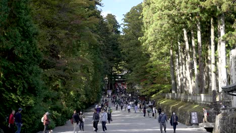 In-Zeitlupe-Durchqueren-Menschen-Den-Weg,-Der-Zum-Nikko-Toshogu-Schreinkomplex-In-Japan-Führt