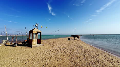 POV-Aufnahme-Beim-Strandspaziergang-Mit-Gleitschirmen-Im-Hintergrund,-Sonniger-Tag-In-Dahab,-Ägypten
