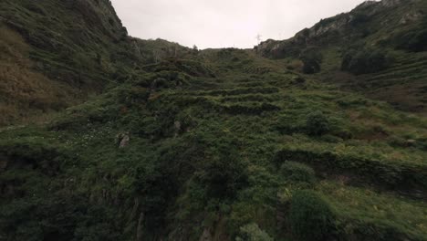 FPV-Drohne-Fliegt-über-Einen-üppigen-Grünen-Wald-Auf-Der-Insel-Madeira-In-Der-Nähe-Der-Bäume