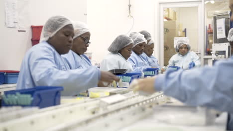Empleadas-Africanas-En-La-Línea-De-Producción-De-Una-Planta-De-Fabricación-De-Equipos-Quirúrgicos