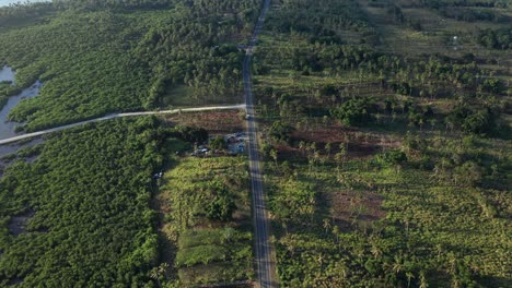 Aerial-View-of-Road-in-Green-Tropical-Landscape-of-Tonga-Island,-Polynesia