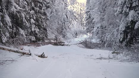 Wunderschöner-Winterblick-Auf-Eine-Stille-Verschneite-Straße-Im-Wald