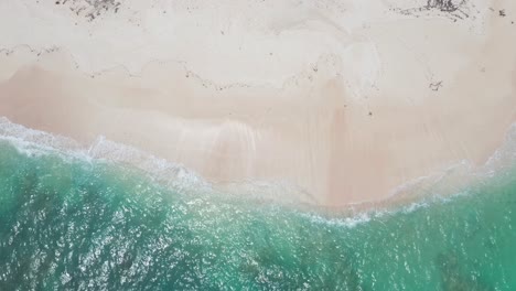 Empty-White-Sand-Beach-and-Turquoise-Tropical-Sea,-High-Angle-Revealing-Drone-Shot,-Tonga,-Polynesia