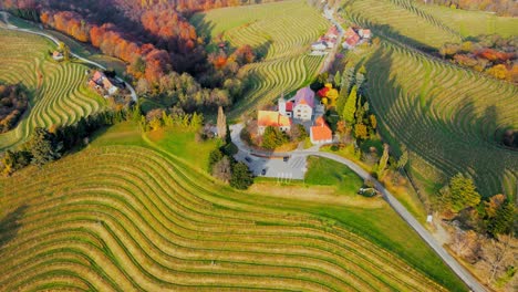 Stunning-aerial-4K-drone-footage-of-an-wine-region-of-Jeruzalem,-Slovenia