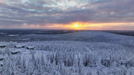 Drone-shot-rising-over-snowy-forest-on-top-of-fell,-dramatic-sunrise-in-Lapland