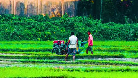 Zwei-Indische-Bauern-Pflügen-Mit-Einem-Traktor-In-Feuchten-Tropischen-Feldern-Südasiens