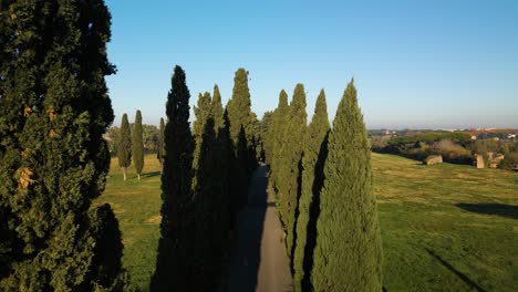 Aerial-ascend-along-Appian-way-in-green-lush-countryside-at-sunset