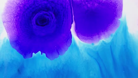Violet-and-blue-ink-swirls-in-water-resembling-floral-patterns,-abstract-and-artistic