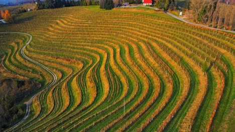 Stunning-aerial-4K-drone-footage-of-an-wine-region-of-Jeruzalem,-Slovenia