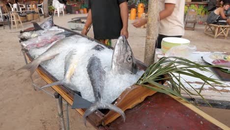 Seller-displaying-variety-of-fresh-seafood-including-head-of-Barracuda