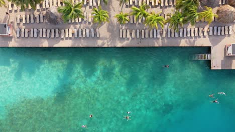 Drohne-Von-Oben-Nach-Unten-Statisch-über-Schwimmern-Im-Karibischen-Meerwasser-Am-Sansibar-Beach-Jan-Thiel-Curacao