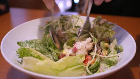 Mixing-a-bowl-of-vegetable-salad,-a-mixture-of-lettuce,-tuna,-sunflower-sprouts,-corn,-cucumber,-cherry-tomatoes,-capsicum,-crab-sticks,-and-salad-dressing-to-taste