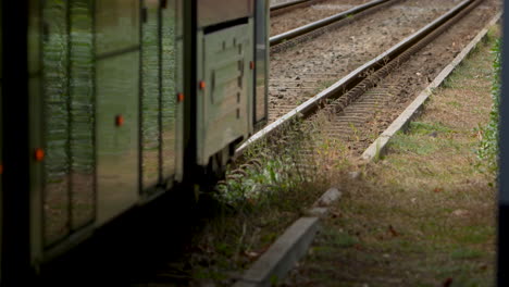 Train-carriages-on-tracks-surrounded-by-greenery,-side-view,-daytime,-slow-motion