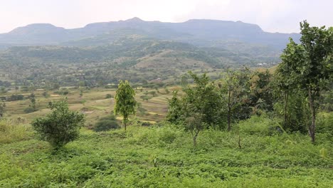 Vegetación-En-Una-Montaña-En-La-India