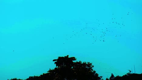 Flock-of-migratory-birds-fly-over-forest-on-blue-sky-background