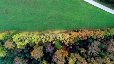 Aerial-view-of-a-road-running-through-a-grassland-between-two-forests