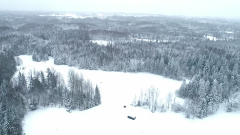 Beautiful-winter-wonderland-frozen-coniferous-forest-aerial-forward-moving-shot
