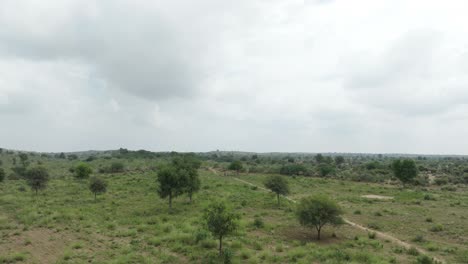 Tharparkar,-Sindh:-Aerial-Timelapse-Over-Greenery-landscape
