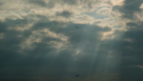 Vogelsilhouetten-Und-Sonnenlicht,-Das-Durch-Wolken-Scheint