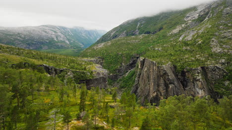 Pinos-En-La-Montaña-Con-El-Cañón-Hellmojuvet-En-El-Norte-De-Noruega.