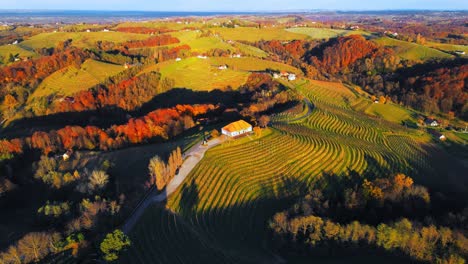 Stunning-aerial-4K-drone-footage-of-an-old-vineyard-cottage,-Malek---Jeruzalem,-Slovenia