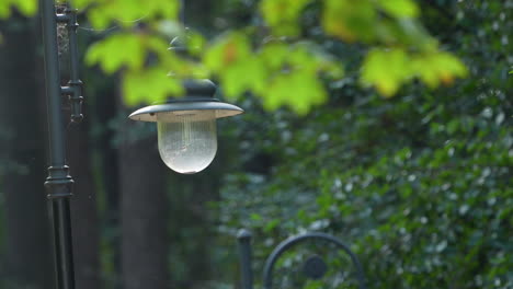 Close-up-of-a-vintage-street-lamp-with-lush-green-foliage-in-soft-focus-background,-daylight