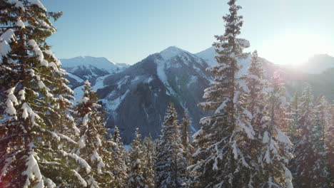 Montañas-Cubiertas-De-Nieve-Y-Bosques-De-Coníferas-Durante-El-Invierno-En-Saalbach-hinterglemm,-Austria---Drone-Ascendente