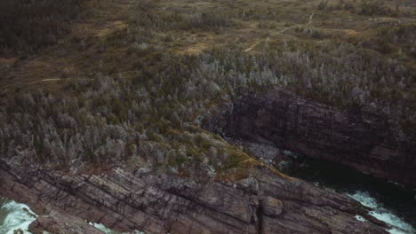 Evergreen-trees-grow-in-rocky-terrain-of-Newfoundland-coast-near-St