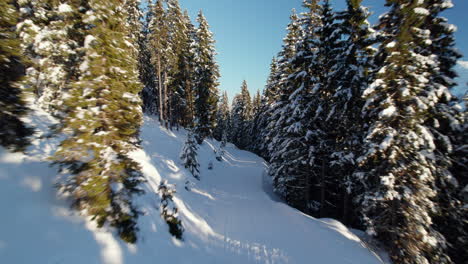 Snow-covered-Path-Amid-The-Pine-Trees-In-Winter-In-Reiterkogel-Mountain,-Hinterglemm,-Austria