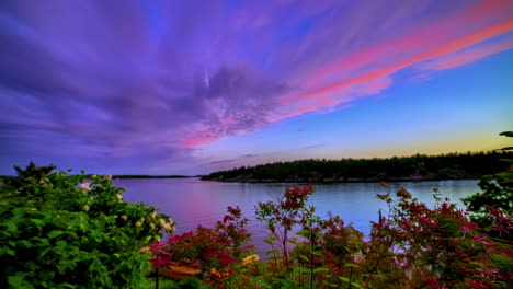 An-exciting-sliding-shot-reveals-colorful-nature-with-a-lake-behind-bushes-and-flowers