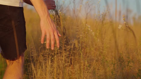 Boy's-Hand-Touching-Grass-during-Walking-at-Sunset