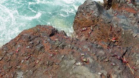 Brown-color-rocks-and-splashing-ocean-water,-top-down-static-view