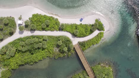 Aerial-topdown-of-Peanut-Island-Park-boardwalk-and-beach,-Florida