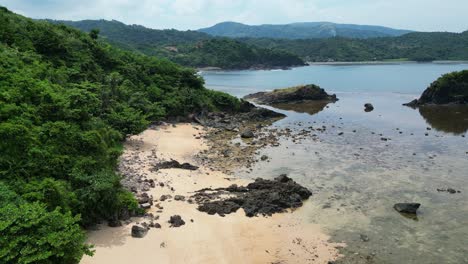 Vegetation-With-Rocky-Golden-Sandy-Shore-At-Puraran-Beach-In-Baras,-Catanduanes,-Philippines
