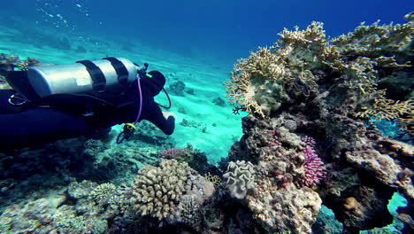 Taucher-In-Tauchausrüstung-Mit-Sauerstofftank-Und-Schnorchel-Schwimmen-Am-Meeresgrund-In-Der-Nähe-Eines-Komplexen-Korallenriffs